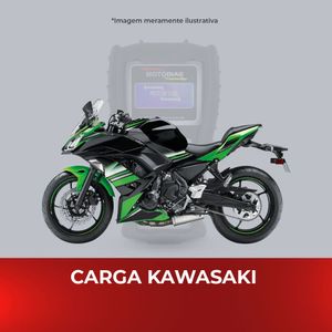 Carga Motodiag Kawasaki